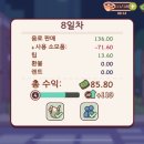 메이지커피