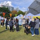 댕댕아 놀자 이미지