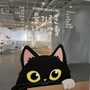 플러플리 FLUFFLY | [신도림] 고양이 집사들이라면 반드시 들려야 할 구캔갤러리 : 슬기로운 냥이생활
