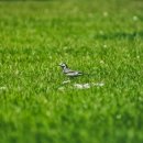 수원랜드 이미지