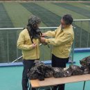 한국폴리텍대학동부산캠퍼스 이미지