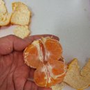 세빈농장 이미지