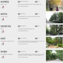 천호대로78길 이미지