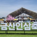 풍기우연홍삼명가 - 21411 | [연재 기획 - 붉은 에너지, 고려인삼의 뿌리를 찾아서 ③]