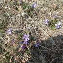 굴전마을 이미지