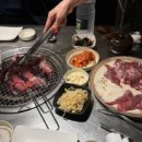 신부산갈매기