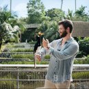 윈드힐 호텔&리조트 이미지