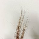 상동 624-2 이미지