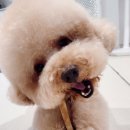 멍문살롱 이미지