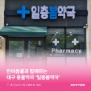 일층봄약국 | 대구동물약국 : 대구광역시 달서구 용산동 일층봄약국 소개해요!