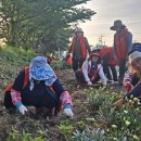 함덕농업협동조합 이미지