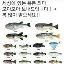 투헤븐특수방역 | 8월에서 12월로 타임슬립~ 그리고 해피뉴이어🌅