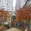 계양임광그대가아파트 Daum카페