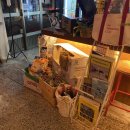 데이스위밍클럽 이미지