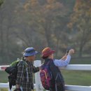 서울목장 이미지