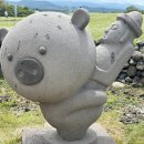 조천읍 와흘메밀마을 | 제주 메밀꽃 명소 조천 와흘 메밀마을 방문후기