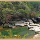 농암초등학교 이미지