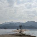 비래동매운족발 이미지