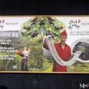 아빠짬뽕 이미지