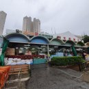 화도두꺼비왕식자재마트 주식회사 | 남양주 마트추천-화도 휴게소 옆 두꺼비 왕 식자재마트 장본 후기(주차가능,운영시간)