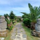 솔레올레 이미지