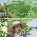 일로만난사이