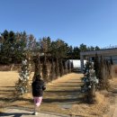 외칠1리원두마을 | 태안 브런치 맛집 카페산후리, 아이 놀거리까지 완벽했던 방문 후기