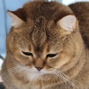 뿌리병원 | [뿌리요양병원] 직장인 국가 건강검진 후기 (인천 논현동)