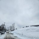 11650-7-69-31 | 삿포로 / 비에이 버스투어 후기 - 홋카이도랩 프리미엄 투어 2번째 이용