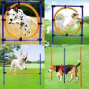 도그,위브 이미지