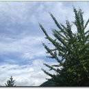 김천중앙초등학교 이미지