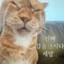옥미아구찜 - 경산시 경청로219길 3 | 옥미아구찜