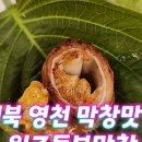 원조동부막창 이미지