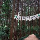 (주)누리향 네이버블로그