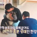 에이스동물메디컬센터 이미지