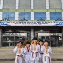 태백태권도장 이미지