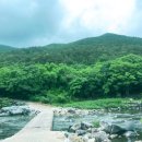 피아프스테이 이미지