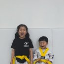 용인대 정무태권도장 이미지