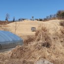 외재 이단하 선생묘 이미지