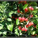 사암농장 이미지