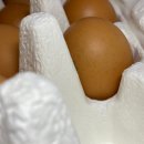 이수 행정사 사무소 이미지