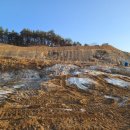 저산1리 이미지