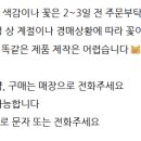벨로데이 이미지