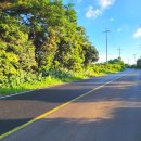 남원읍-83 이미지