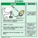 중이염, 귀이개, 비행기로도 고막은 찢어진다… 재생치료라면 끊지 말고 개선 이미지