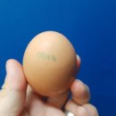 송일농장 이미지