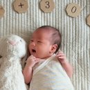 조은맘산후도우미군산익산점 이미지