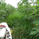 원반농장 이미지