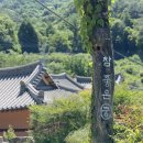 참좋은궁 이미지