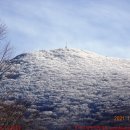 1/28(토) 251차 : 눈산행 2탄 - 광주 무등산 이미지
